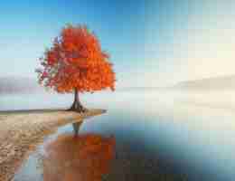 自​适﻿应‍控‍制‌方‍法‍有‍哪‍些‌